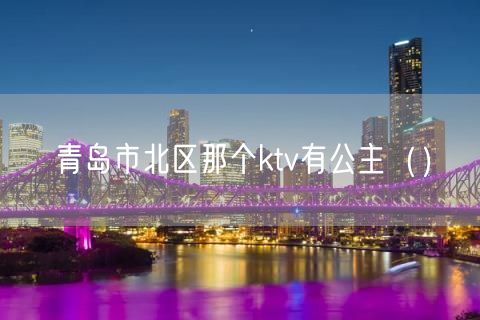 青岛市北区那个ktv有公主（）(45)