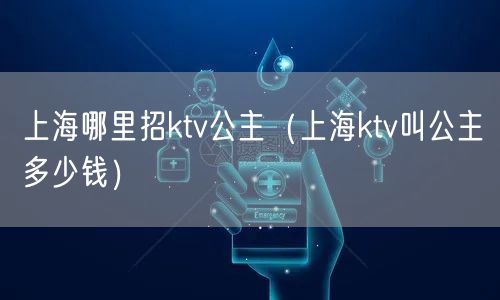 上海哪里招ktv公主（上海ktv叫公主多少钱）