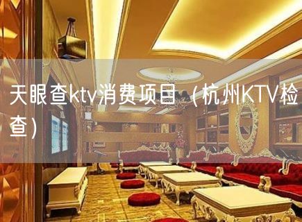 天眼查ktv消费项目（杭州KTV检查）(6)
