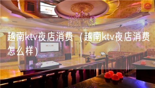越南ktv夜店消费（越南ktv夜店消费怎么样）(7)