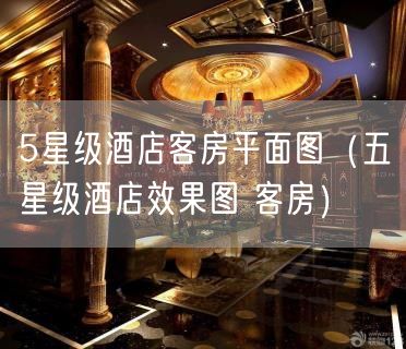 5星级酒店客房平面图（五星级酒店效果图 客房）(39)