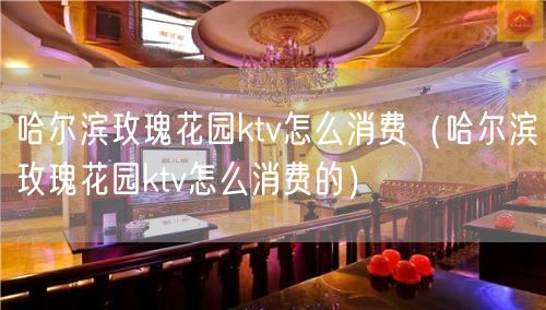 哈尔滨玫瑰花园ktv怎么消费（哈尔滨玫瑰花园ktv怎么消费的）(7)