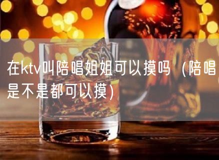 在ktv叫陪唱姐姐可以摸吗（陪唱是不是都可以摸）(28)