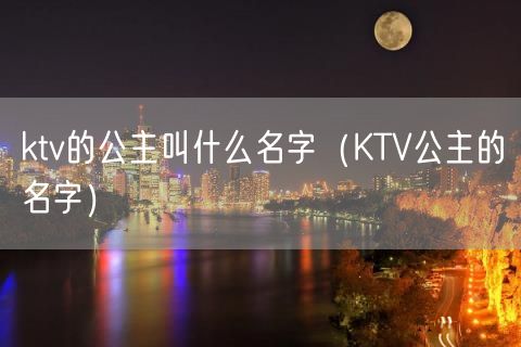 ktv的公主叫什么名字（KTV公主的名字）(2)