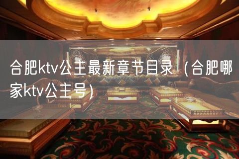 合肥ktv公主最新章节目录（合肥哪家ktv公主号）(3)