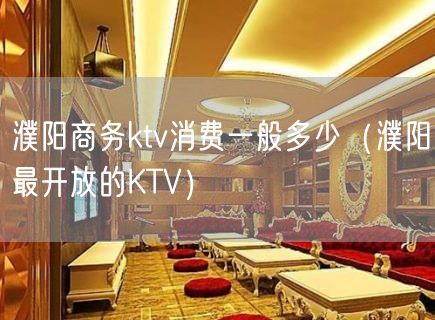 濮阳商务ktv消费一般多少（濮阳最开放的KTV）(4)