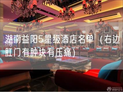 湖南益阳5星级酒店名单（右边肛门有肿块有压痛）(12)