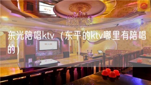 东光陪唱ktv（东平的ktv哪里有陪唱的）(4)