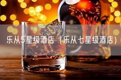 乐从5星级酒店（乐从七星级酒店）(23)