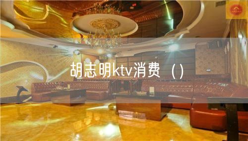 胡志明ktv消费（）(20)