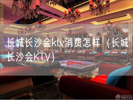 长城长沙会ktv消费怎样（长城长沙会KTV）(8)