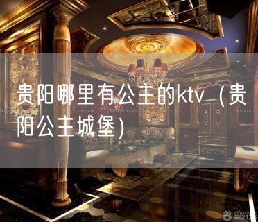 贵阳哪里有公主的ktv（贵阳公主城堡）(25)