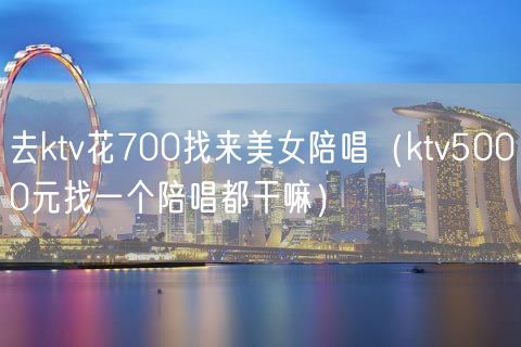 去ktv花700找来美女陪唱（ktv5000元找一个陪唱都干嘛）(12)
