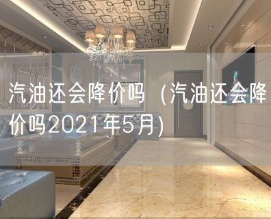 汽油还会降价吗（汽油还会降价吗2021年5月）(18)