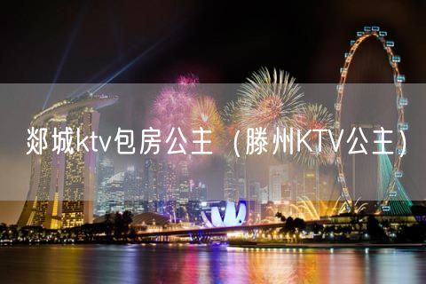 郯城ktv包房公主（滕州KTV公主）(14)