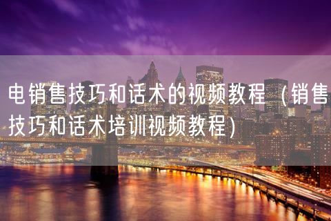 电销售技巧和话术的视频教程（销售技巧和话术培训视频教程）(189)