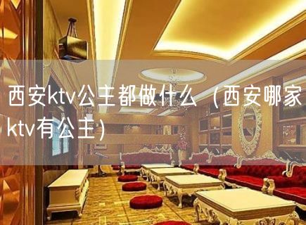 西安ktv公主都做什么（西安哪家ktv有公主）(5)