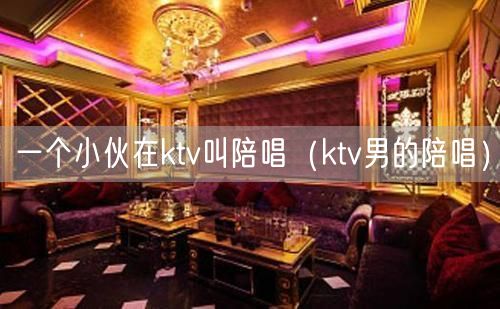 一个小伙在ktv叫陪唱（ktv男的陪唱）