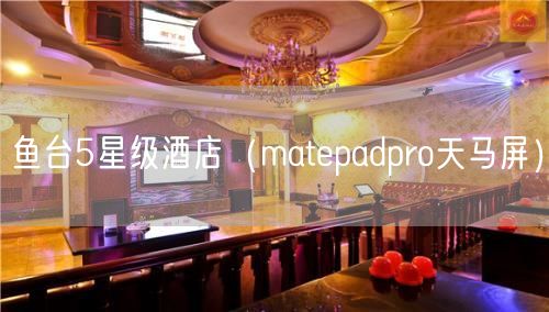 鱼台5星级酒店（matepadpro天马屏）(5)