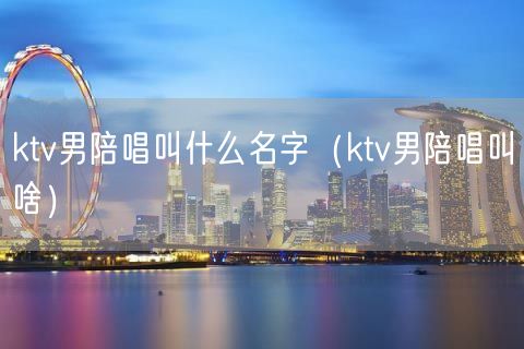 ktv男陪唱叫什么名字（ktv男陪唱叫啥）(50)