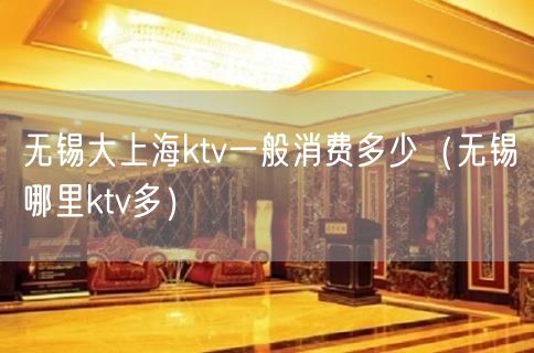 无锡大上海ktv一般消费多少（无锡哪里ktv多）(13)