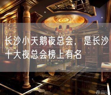 长沙小天鹅夜总会，是长沙十大夜总会榜上有名