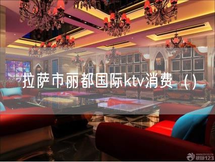 拉萨市丽都国际ktv消费（）(45)