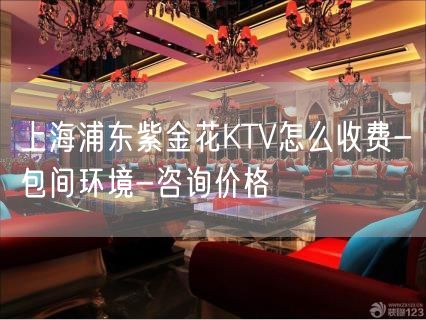 上海浦东紫金花KTV怎么收费-包间环境-咨询价格