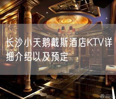 长沙小天鹅戴斯酒店KTV详细介绍以及预定