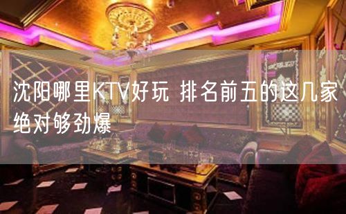 沈阳哪里KTV好玩 排名前五的这几家绝对够劲爆