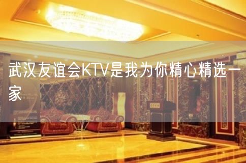 武汉友谊会KTV是我为你精心精选一家