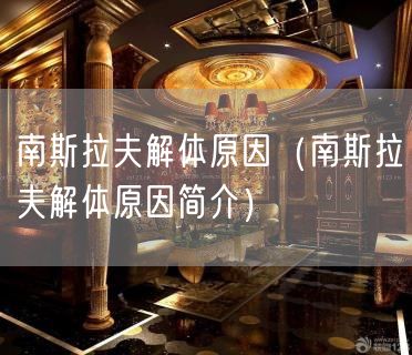 南斯拉夫解体原因（南斯拉夫解体原因简介）(43)