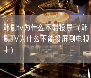 韩剧tv为什么不能投屏（韩剧TV为什么不能投屏到电视上）(9)