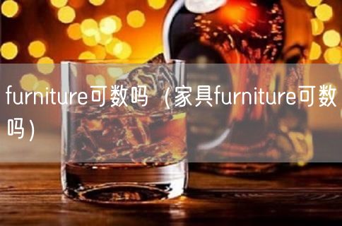 furniture可数吗（家具furniture可数吗）(40)