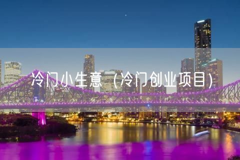 冷门小生意（冷门创业项目）(109)